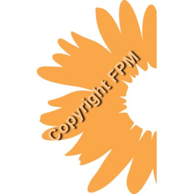 A1333 Daisy Thumbnail