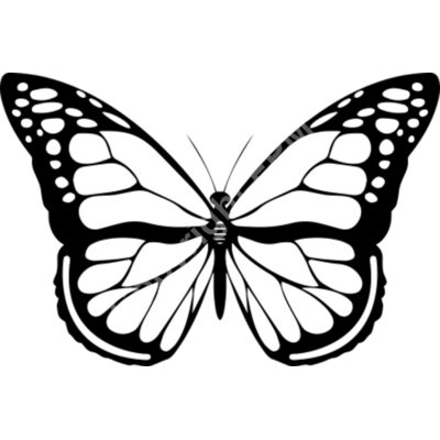 A1088 Butterfly Thumbnail