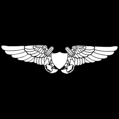 1372 Wings Thumbnail