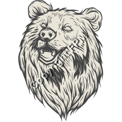 A1817 Bear Thumbnail