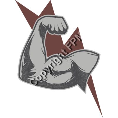 A1823 Muscle Thumbnail