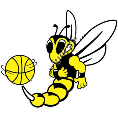 1230 Hornet Basketball Thumbnail