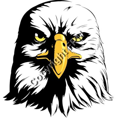 1306 Eagle Head Thumbnail