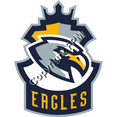 1319 Eagles Thumbnail