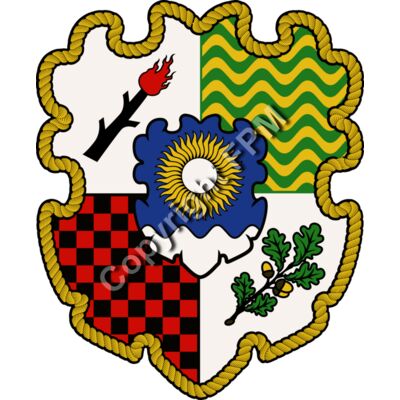 1356 Family Crest Shield Thumbnail