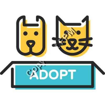 8125 Adopt Thumbnail