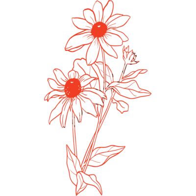 07 Daisies Thumbnail