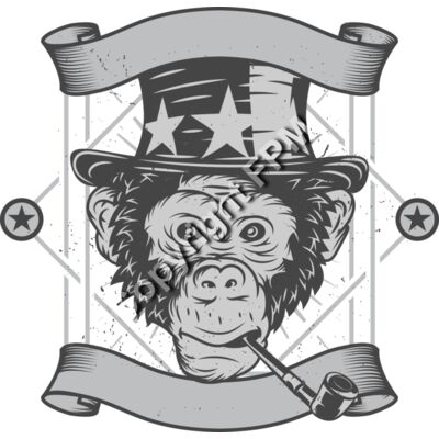 B6166 Cool Monkey Thumbnail