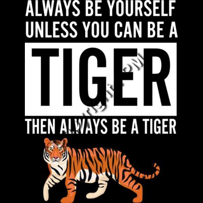 B6190 Tiger Thumbnail