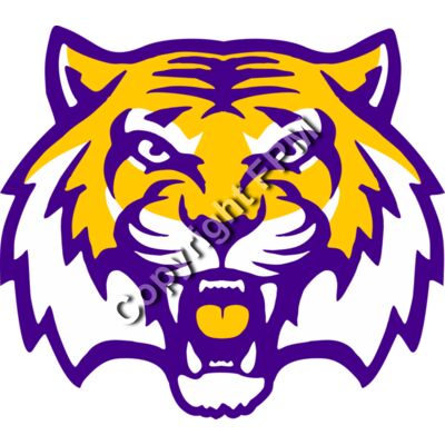 4236 Wild Cat Thumbnail