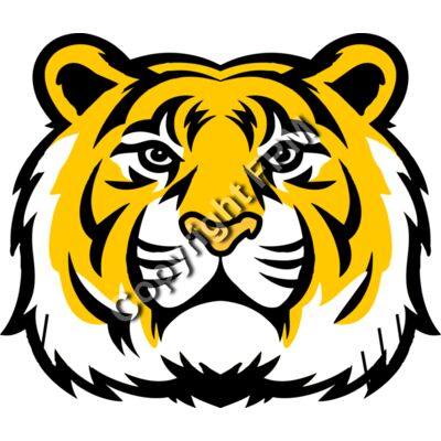 4235 Tiger Thumbnail