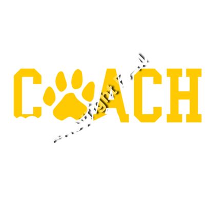 B4381 Cheer Coach Thumbnail
