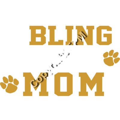 B4384 Cheer Mom Thumbnail