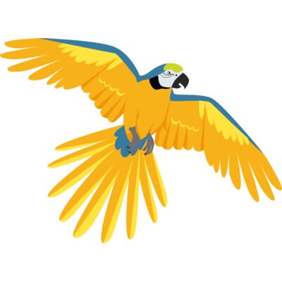 3425 Parrot Thumbnail