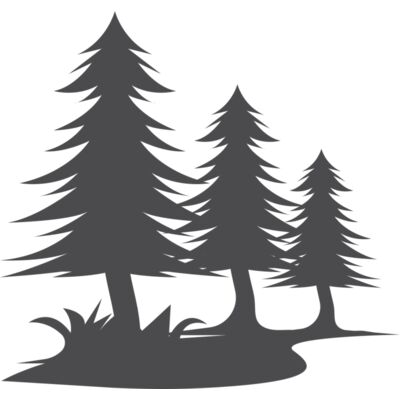 5429 Trees Thumbnail