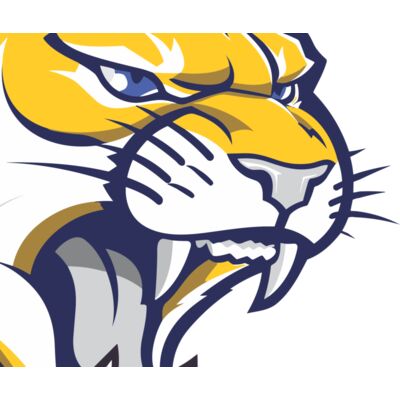 1254 Wildcat Thumbnail