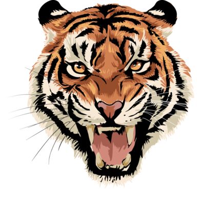 5843 Tiger Thumbnail